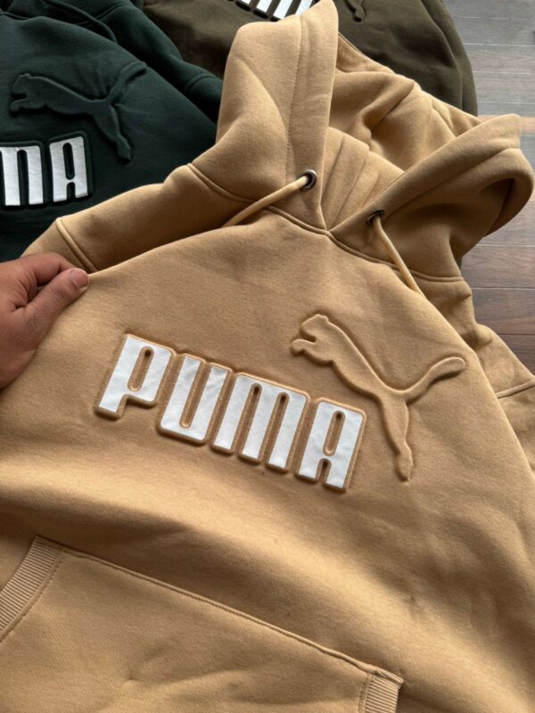 WhatsApp Image 2025-12-17 at 10.49.44 PM (7) PREMIUM ANTI-PILL HOODIE