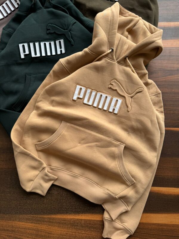 WhatsApp Image 2025-12-17 at 10.49.44 PM (8) PREMIUM ANTI-PILL HOODIE