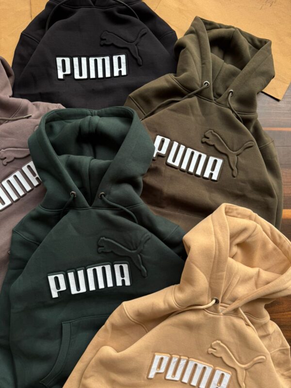 WhatsApp Image 2025-12-17 at 10.49.44 PM (9) PREMIUM ANTI-PILL HOODIE